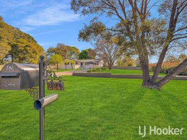 House For Sale - NSW - Inverell - 2360 - The Complete Package - Modern Comfort on Spacious Block  (Image 2)