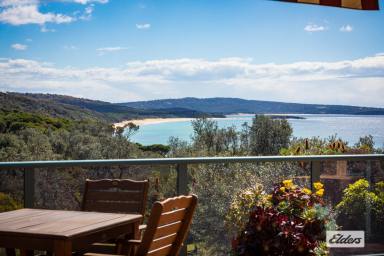 House For Sale - NSW - Tura Beach - 2548 - Point Of View  (Image 2)