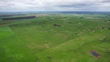 Livestock Auction - VIC - Garvoc - 3265 - Full or feed – Just let the cattle in!  (Image 2)