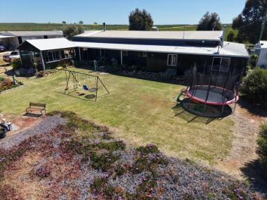 Farmlet For Sale - WA - Kokeby - 6304 - Outstanding Rural Holding with Modern Home & Infrastructure     50.19ha  (Image 2)