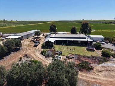 Farmlet For Sale - WA - Kokeby - 6304 - Outstanding Rural Holding with Modern Home & Infrastructure     50.19ha  (Image 2)