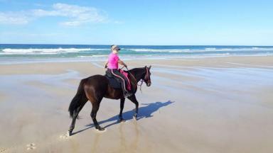 Lifestyle For Sale - NSW - Keith Hall - 2478 - Equine Coastal Haven - Hampton-Style Home on Large Acreage Near South Ballina Beach  (Image 2)