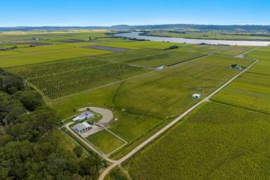 Lifestyle For Sale - NSW - Keith Hall - 2478 - Equine Coastal Haven | Moments from South Ballina Beach  (Image 2)