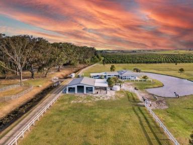 Lifestyle For Sale - NSW - Keith Hall - 2478 - Where Country Meets Coast  (Image 2)