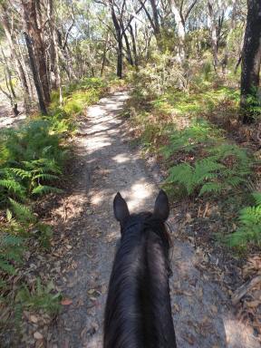 Lifestyle For Sale - NSW - Keith Hall - 2478 - Equine Coastal Haven - Hampton-Style Home on Large Acreage Near South Ballina Beach  (Image 2)