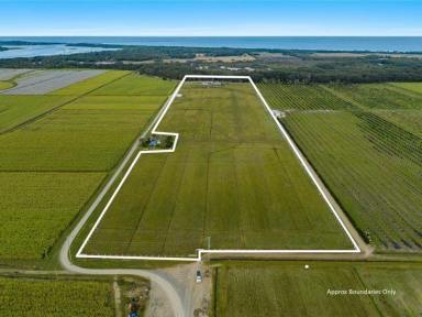 Lifestyle For Sale - NSW - Keith Hall - 2478 - Equine Coastal Haven | Moments from South Ballina Beach  (Image 2)