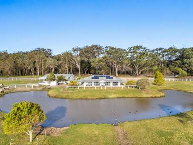Lifestyle For Sale - NSW - Keith Hall - 2478 - Equine Coastal Haven - Hampton-Style Home on Large Acreage Near South Ballina Beach  (Image 2)