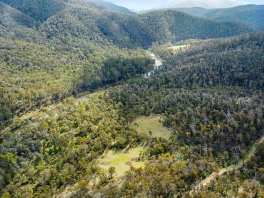 Residential Block For Sale - VIC - Benambra - 3900 - HIGH COUNTRY GETAWAY  (Image 2)