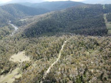 Residential Block For Sale - VIC - Benambra - 3900 - HIGH COUNTRY GETAWAY  (Image 2)