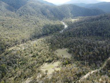 Residential Block For Sale - VIC - Benambra - 3900 - HIGH COUNTRY GETAWAY  (Image 2)
