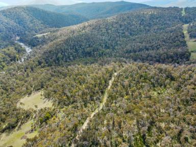 Residential Block For Sale - VIC - Benambra - 3900 - HIGH COUNTRY GETAWAY  (Image 2)