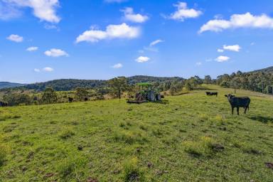 Lifestyle For Sale - NSW - Craven - 2422 - Quiet Rural Weekender or Peaceful Tree Change  (Image 2)