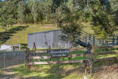 Lifestyle For Sale - NSW - Craven - 2422 - Quiet Rural Weekender or Peaceful Tree Change (Image 2)