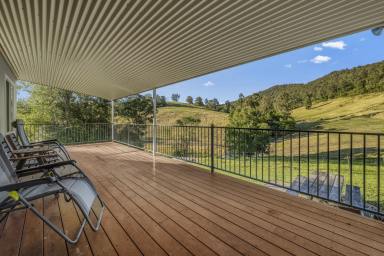 Lifestyle For Sale - NSW - Craven - 2422 - Quiet Rural Weekender or Peaceful Tree Change  (Image 2)