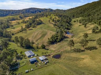 Lifestyle For Sale - NSW - Craven - 2422 - Quiet Rural Weekender or Peaceful Tree Change (Image 2)