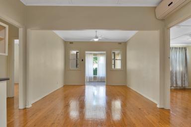 House For Lease - QLD - Centenary Heights - 4350 - Classic Comfort in Centenary Heights  (Image 2)