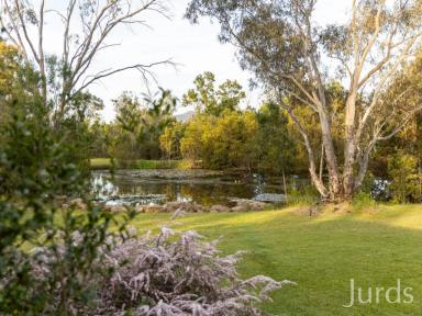 Lifestyle For Sale - NSW - Broke - 2330 - Hunter Moon Country House - $200k+ income plus owners residence  (Image 2)