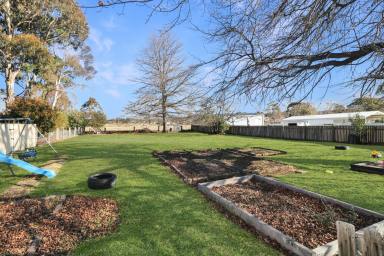 House For Sale - NSW - Glen Innes - 2370 - Family Home on Large Block  (Image 2)