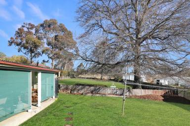 House For Sale - NSW - Glen Innes - 2370 - Family Home on Large Block  (Image 2)