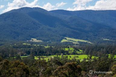 House For Sale - VIC - Yarra Junction - 3797 - Panoramic Perfection in the Heart of Yarra Junction - 7 acres app.  (Image 2)