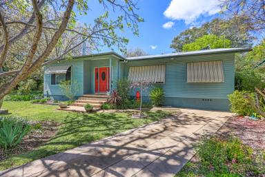 House Auction - NSW - Tamworth - 2340 - THIS ONE HAS IT ALL - GRANNY FLAT, SHEDDING & SO MUCH MORE  (Image 2)