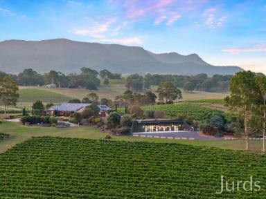 Lifestyle For Sale - NSW - Pokolbin - 2320 - Eden - Hunter Valley Estate  (Image 2)