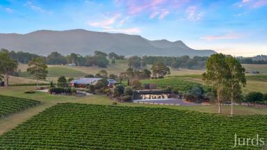Lifestyle For Sale - NSW - Pokolbin - 2320 - Eden - Hunter Valley Estate  (Image 2)