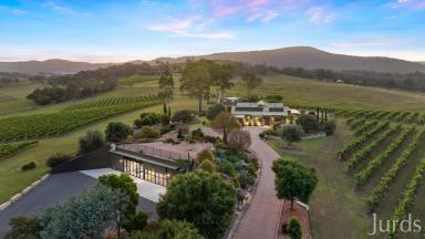 Lifestyle For Sale - NSW - Pokolbin - 2320 - Eden - Hunter Valley Estate  (Image 2)