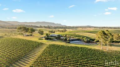 Lifestyle For Sale - NSW - Pokolbin - 2320 - Eden - Hunter Valley Wine Country (Image 2)