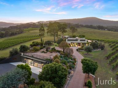 Lifestyle For Sale - NSW - Pokolbin - 2320 - Eden - Hunter Valley Estate  (Image 2)