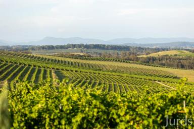 Lifestyle For Sale - NSW - Pokolbin - 2320 - Eden - Hunter Valley Estate  (Image 2)