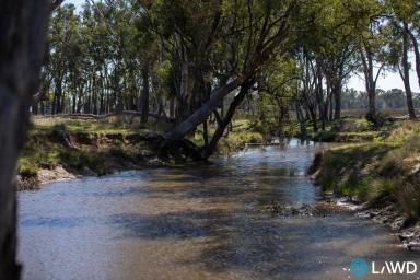 Mixed Farming For Sale - NSW - Stanborough - 2360 - LIFESTYLE AND PRODUCTION ON INVERELL’S DOORSTEP  (Image 2)