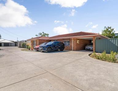 Villa For Sale - WA - Kewdale - 6105 - Outdoor Entertaining Special  (Image 2)