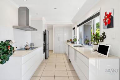 House For Sale - QLD - Flaxton - 4560 - Stylish Dual Living in Charming Flaxton!  (Image 2)