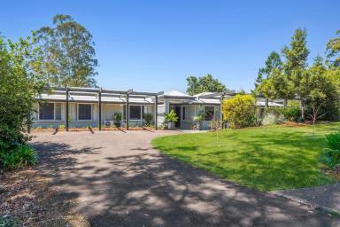 House For Sale - QLD - Flaxton - 4560 - Stylish Dual Living in Charming Flaxton!  (Image 2)