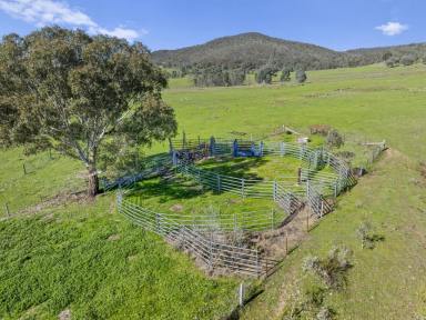 Lifestyle For Sale - VIC - Molyullah - 3673 - 320-Acre Grazing and Lifestyle Property in Watchbox Valley  (Image 2)