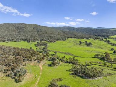 Lifestyle For Sale - VIC - Molyullah - 3673 - 320-Acre Grazing and Lifestyle Property in Watchbox Valley  (Image 2)