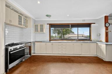 Farmlet For Sale - VIC - Cooriemungle - 3268 - AFFORDABLE HOBBY FARM WITH BIG POSSIBILITIES  (Image 2)