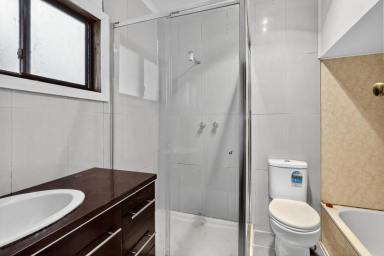 Farmlet For Sale - VIC - Cooriemungle - 3268 - AFFORDABLE HOBBY FARM WITH BIG POSSIBILITIES  (Image 2)