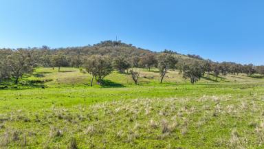 Lifestyle Auction - NSW - Woolomin - 2340 - RURAL LIFESTYLE BUILDING BLOCK WITH EXCELLENT VIEWS IN WOOLOMIN  (Image 2)