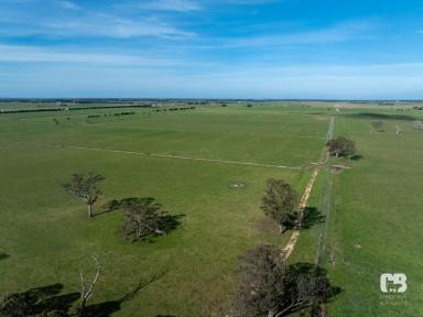 Mixed Farming For Sale - VIC - Nambrok - 3847 - 640-Acre Irrigation Powerhouse - Turnout, Fodder or Expansion Block  (Image 2)