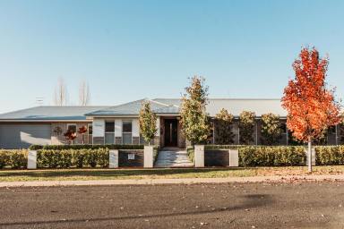 House For Sale - NSW - Mudgee - 2850 - ELEGANT ENTERTAINER WITH DUAL LIVING OPTIONS  (Image 2)