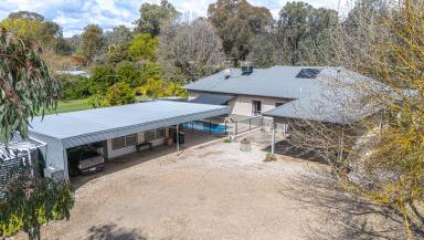 House For Sale - VIC - Myrtleford - 3737 - Large Family Home  (Image 2)