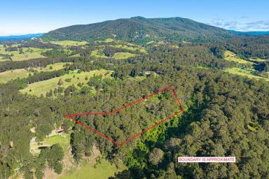 Residential Block For Sale - NSW - Central Tilba - 2546 - Escape From it All  (Image 2)