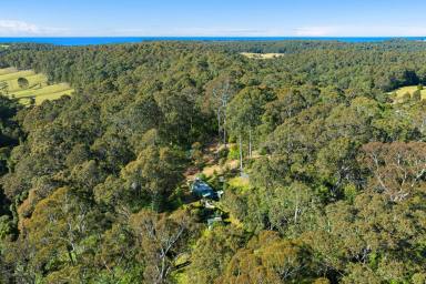 Residential Block For Sale - NSW - Central Tilba - 2546 - Escape From it All  (Image 2)