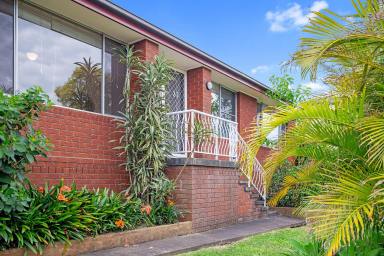 House For Sale - NSW - Raymond Terrace - 2324 - PERFECT FIRST HOME!  (Image 2)