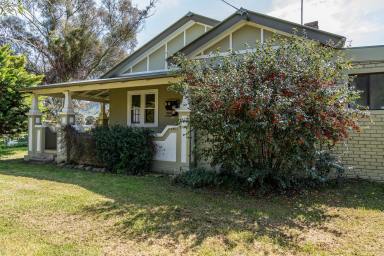 Lifestyle For Sale - NSW - Mudgee - 2850 - MELROSE PARK  (Image 2)
