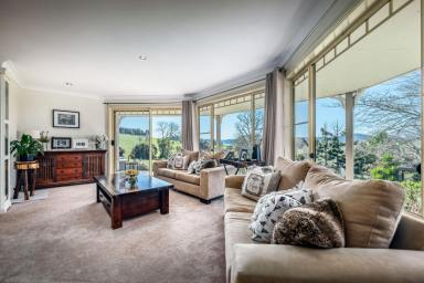 House Auction - NSW - Dorrigo - 2453 - 'Vista Verde' Best of Both Worlds; Immaculate Town Home Overlooking Farmland  (Image 2)
