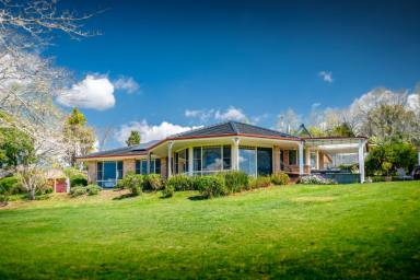 House Auction - NSW - Dorrigo - 2453 - 'Vista Verde' Best of Both Worlds; Immaculate Town Home Overlooking Farmland  (Image 2)