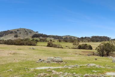 Mixed Farming Auction - VIC - Tooborac - 3522 - By Auction: Saturday 8th November, 2025 at 10am Onsite  (Image 2)
